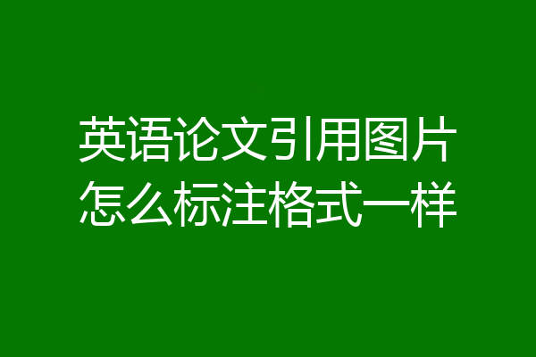 英语论文引用图片怎么标注格式一样
