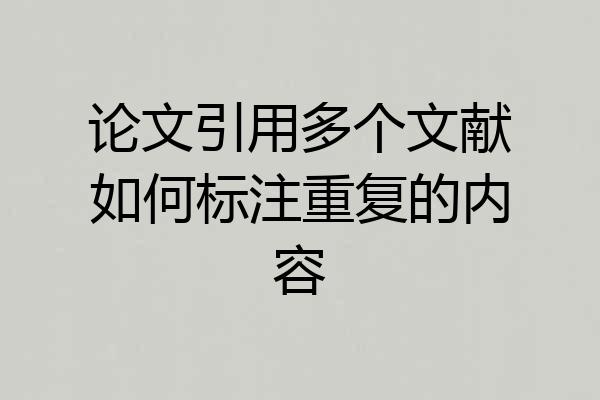 论文引用多个文献如何标注重复的内容