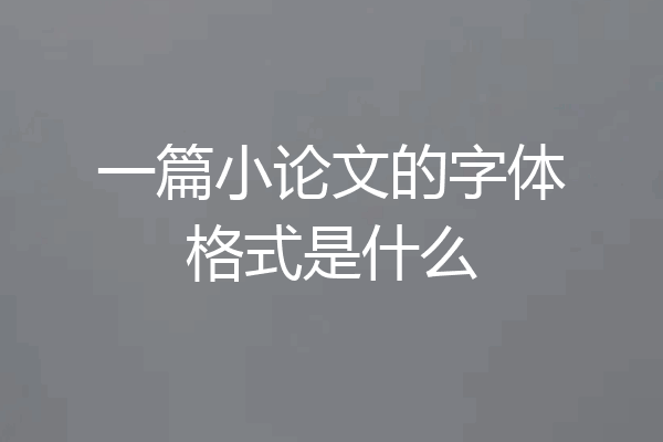 一篇小论文的字体格式是什么