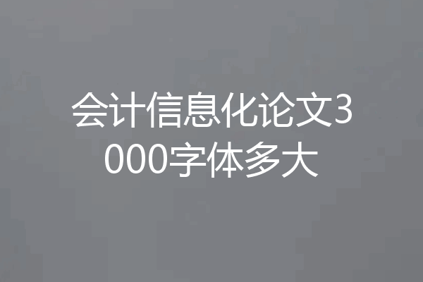 会计信息化论文3000字体多大