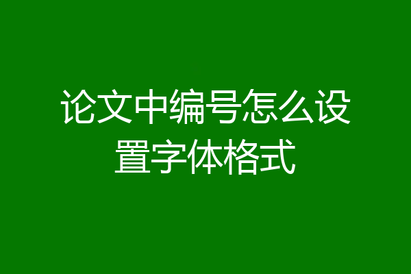 论文中编号怎么设置字体格式
