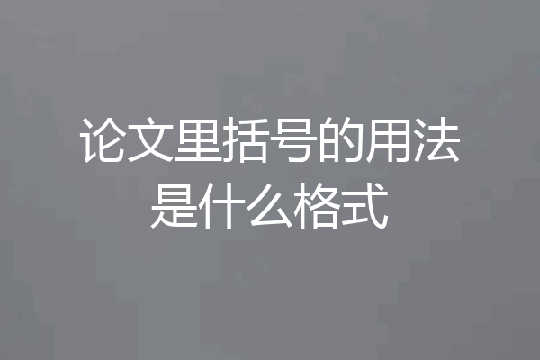 论文里括号的用法是什么格式