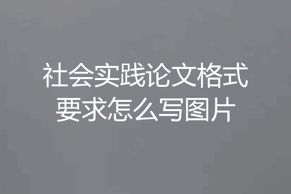 社会实践论文格式要求怎么写图片