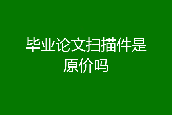 毕业论文扫描件是原价吗