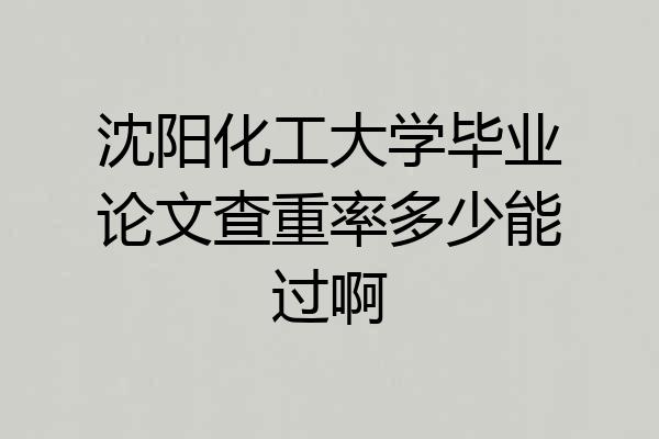 沈阳化工大学毕业论文查重率多少能过啊