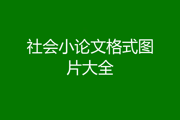 社会小论文格式图片大全