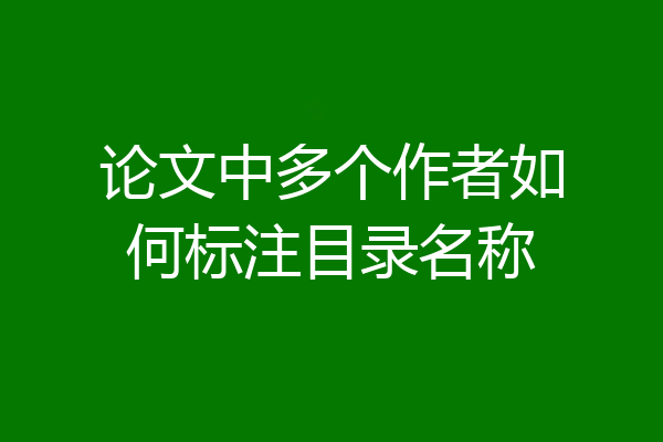 论文中多个作者如何标注目录名称