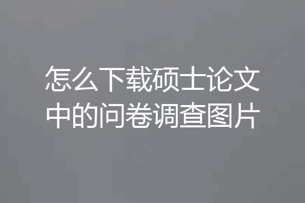 怎么下载硕士论文中的问卷调查图片