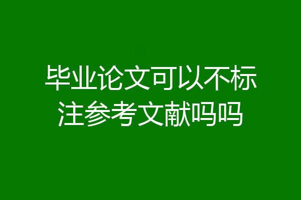 毕业论文可以不标注参考文献吗吗