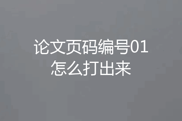 论文页码编号01怎么打出来