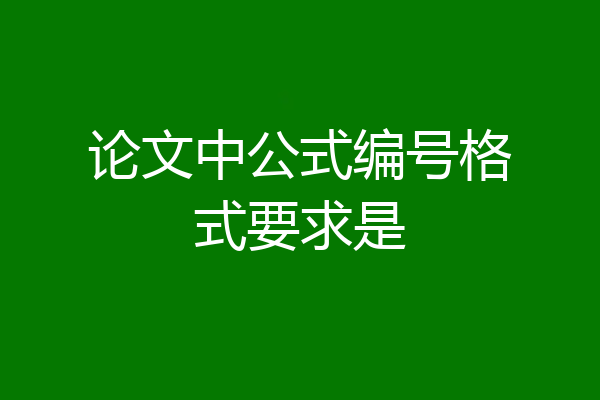 论文中公式编号格式要求是