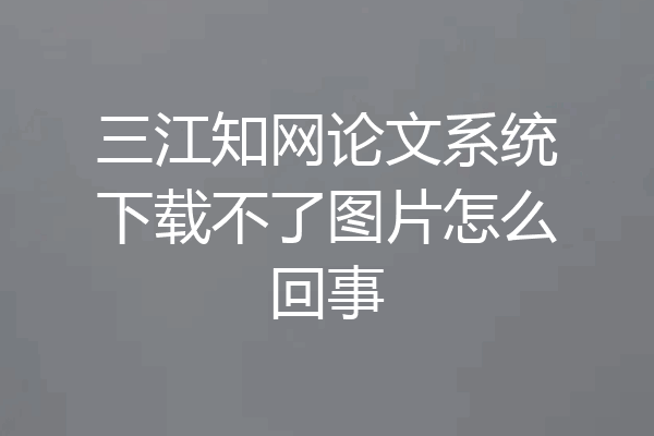 三江知网论文系统下载不了图片怎么回事