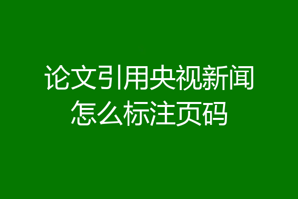 论文引用央视新闻怎么标注页码