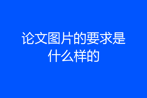 论文图片的要求是什么样的