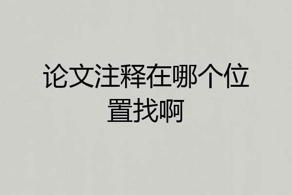 论文注释在哪个位置找啊