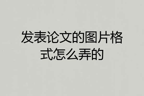 发表论文的图片格式怎么弄的