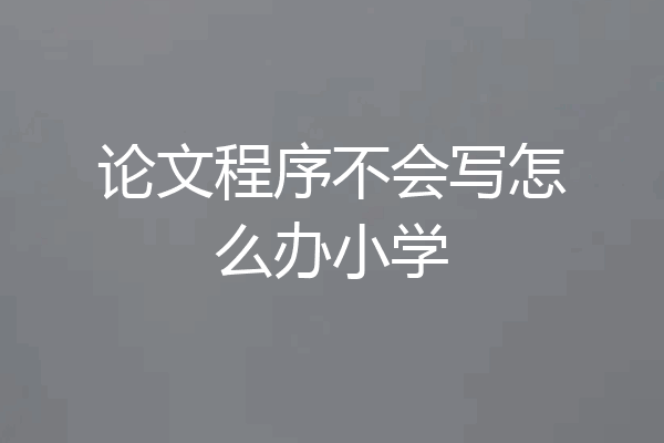 论文程序不会写怎么办小学