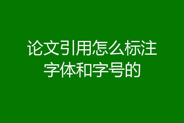 论文引用怎么标注字体和字号的