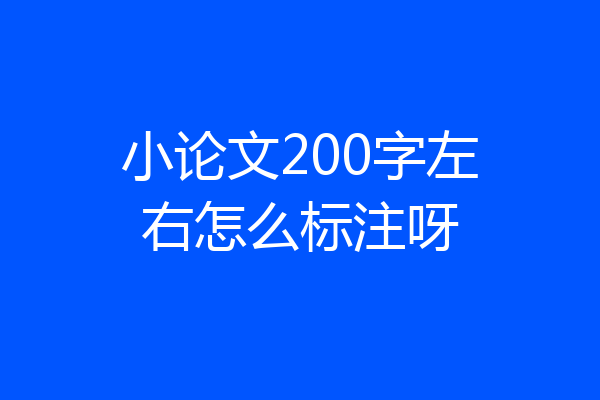 小论文200字左右怎么标注呀