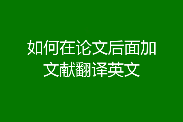 如何在论文后面加文献翻译英文
