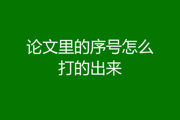 论文里的序号怎么打的出来