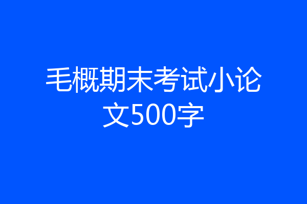毛概期末考试小论文500字
