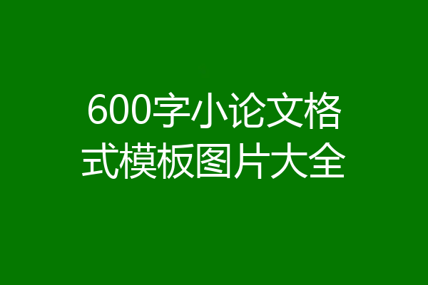 600字小论文格式模板图片大全