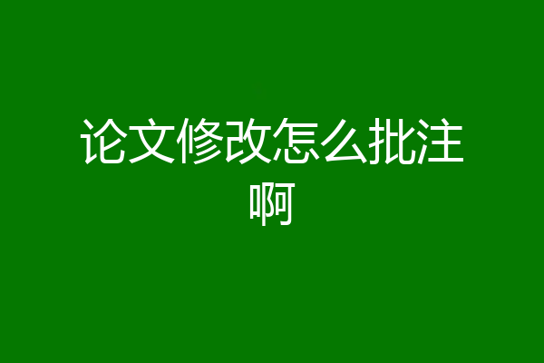 论文修改怎么批注啊