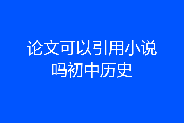 论文可以引用小说吗初中历史