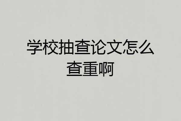 学校抽查论文怎么查重啊