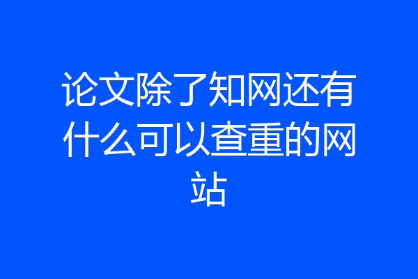 论文除了知网还有什么可以查重的网站