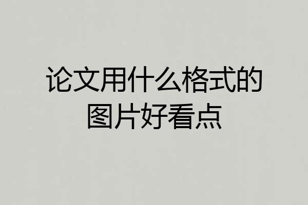 论文用什么格式的图片好看点