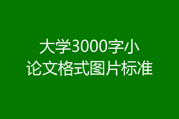 大学3000字小论文格式图片标准