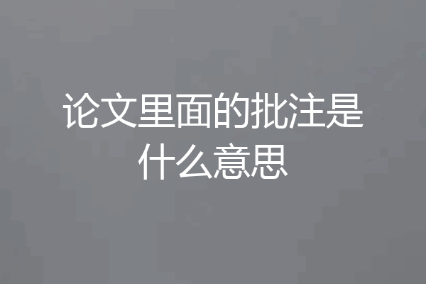 论文里面的批注是什么意思