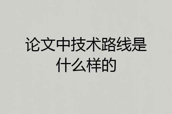 论文中技术路线是什么样的