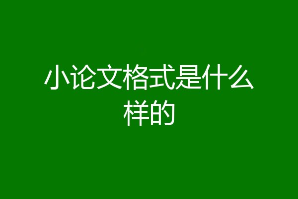 小论文格式是什么样的