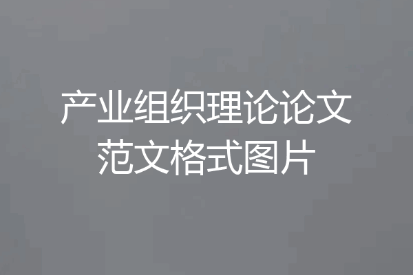 产业组织理论论文范文格式图片