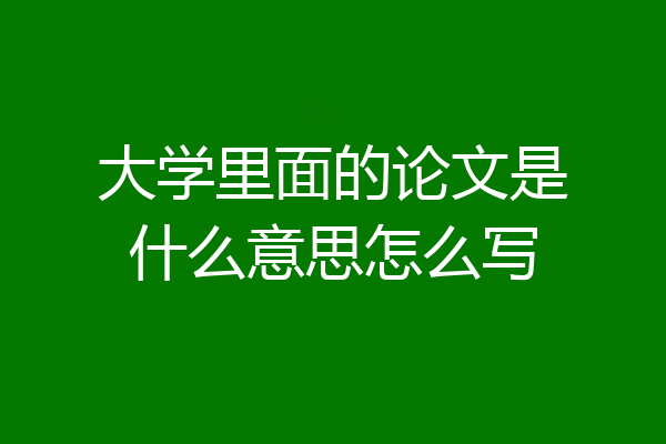 大学里面的论文是什么意思怎么写