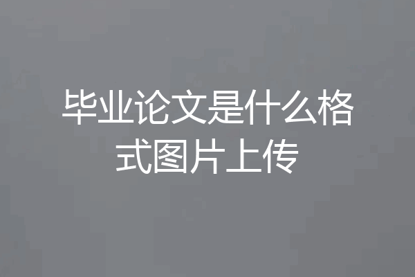 毕业论文是什么格式图片上传