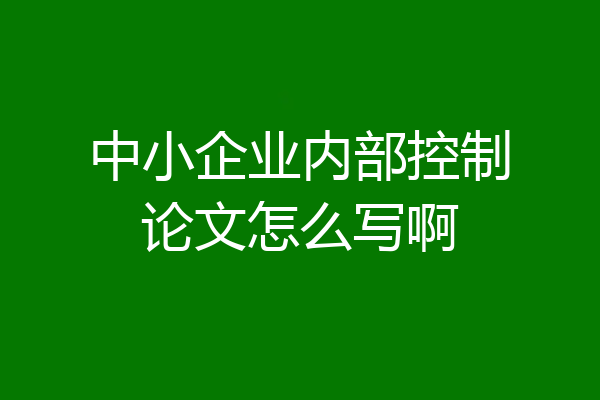 中小企业内部控制论文怎么写啊