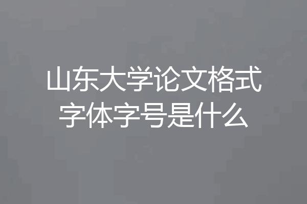 山东大学论文格式字体字号是什么
