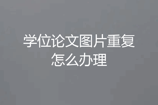学位论文图片重复怎么办理