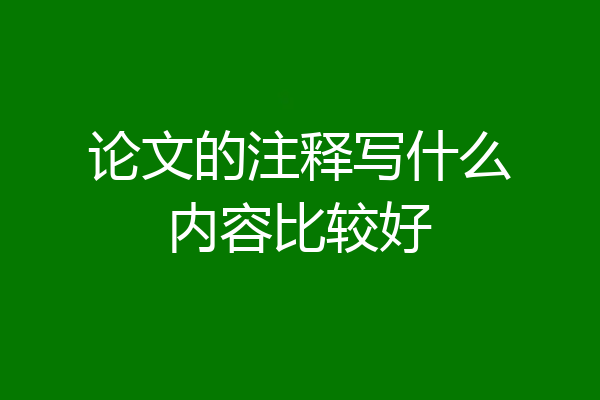 论文的注释写什么内容比较好