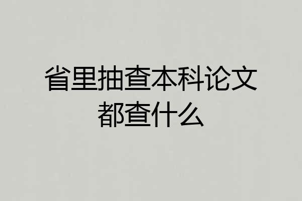 省里抽查本科论文都查什么