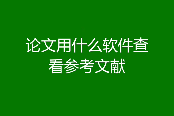 论文用什么软件查看参考文献