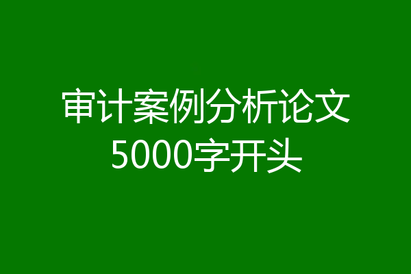 审计案例分析论文5000字开头
