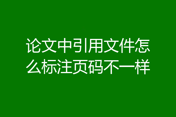 论文中引用文件怎么标注页码不一样