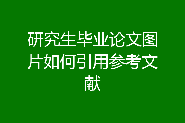 研究生毕业论文图片如何引用参考文献