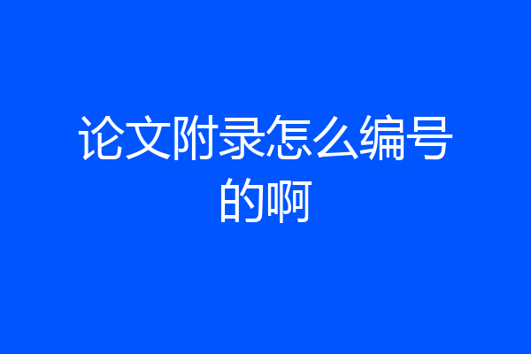 论文附录怎么编号的啊