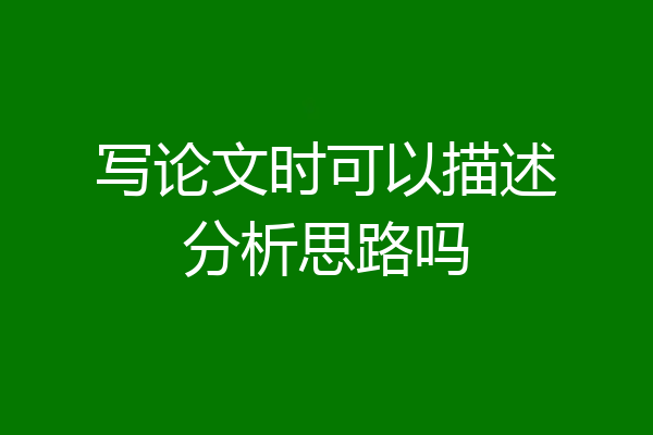 写论文时可以描述分析思路吗